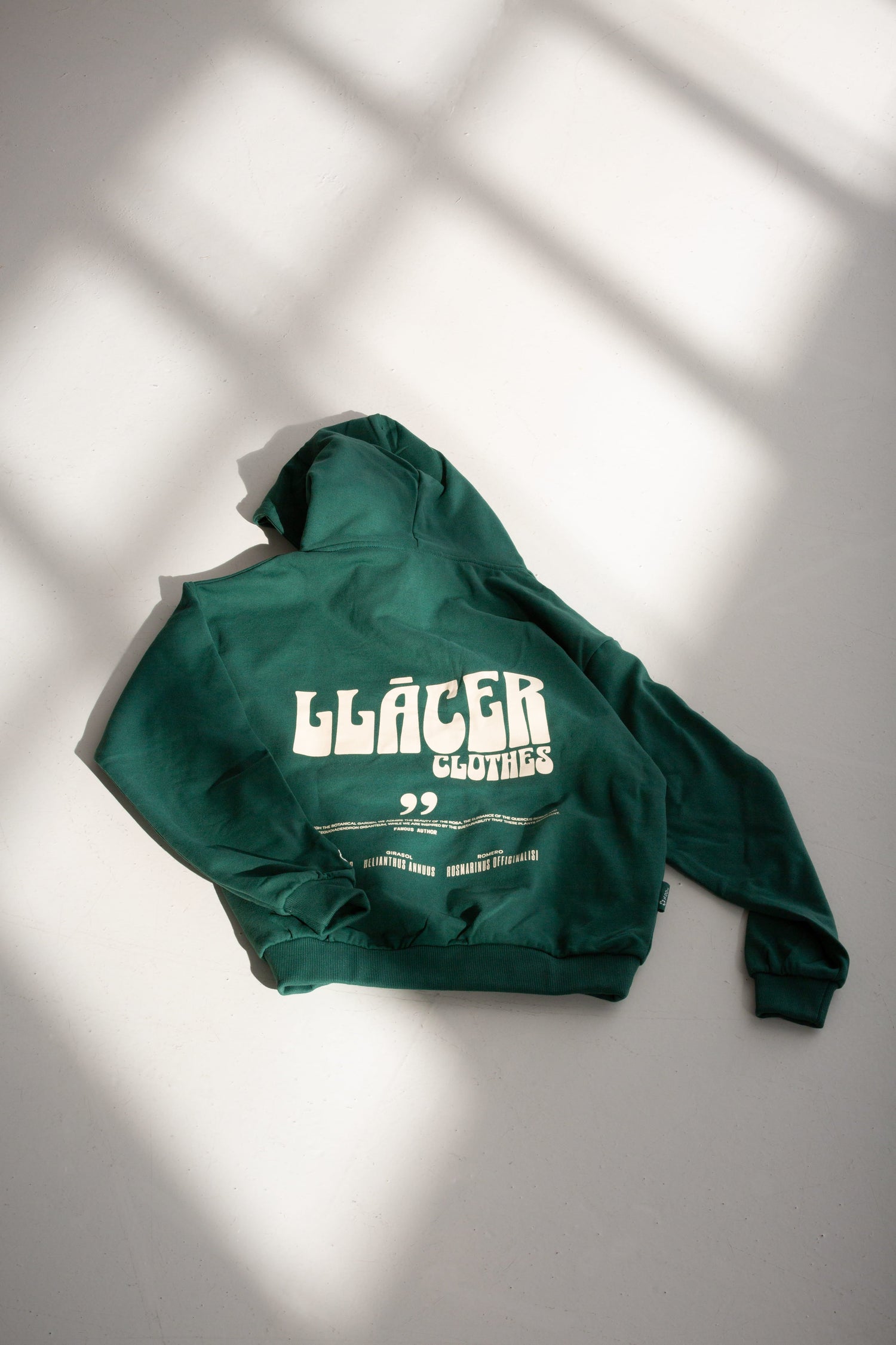 Sudaderas con capucha
